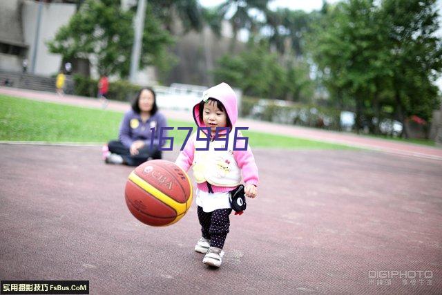 明尼苏达森林狼