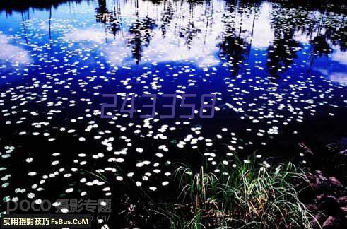 光明节是哪个国家的节日