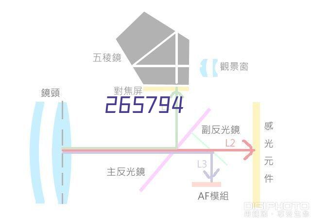 电动越野搬运车