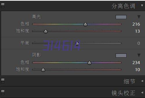 鼎盛精品珐琅彩五福临门花瓶（小号）