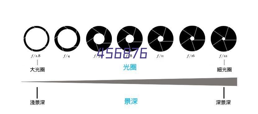 卡丝蒂诺艺术涂料官网