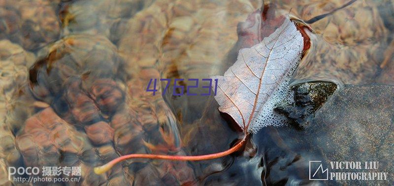 氧化锆陶瓷