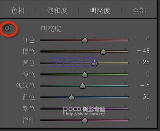 河南洛阳市伊川色选机安装调试成功