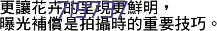 2023年深圳市跆拳道品势公益培训班圆满结束！