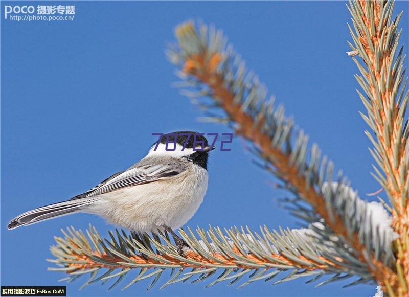 易学文化水平测试