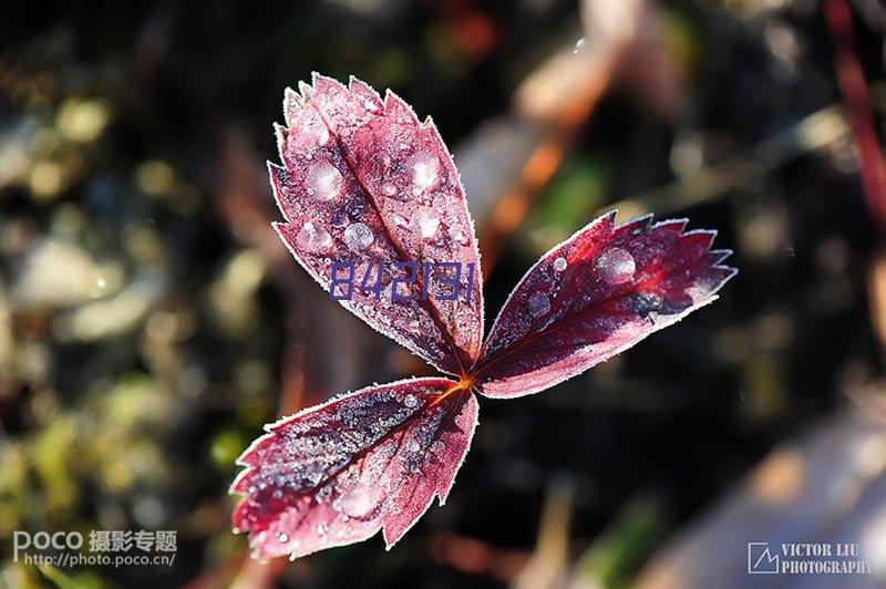 杭州京衡律师事务所办公室装修设计