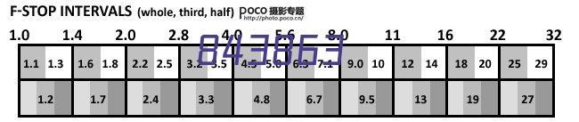 查普斯