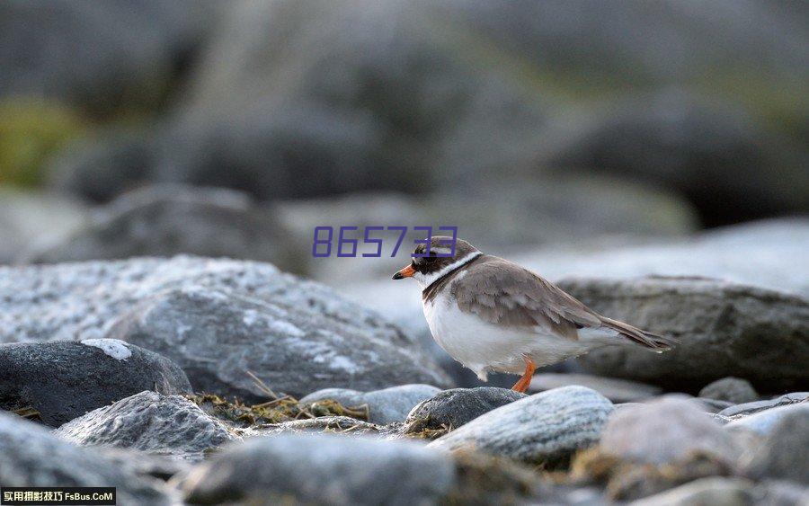 青浦 葛洲坝·虹桥玉兰国际 500平米 简装修