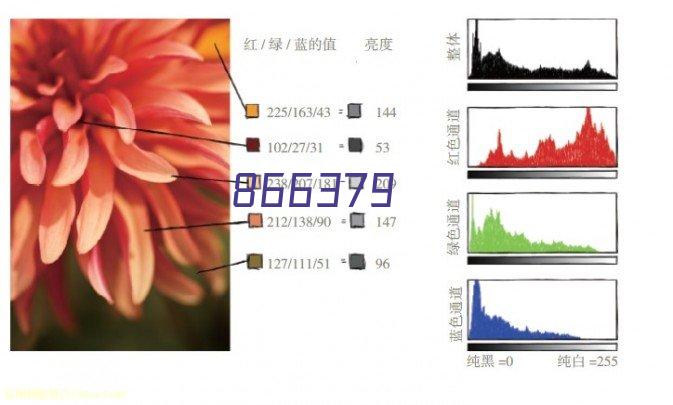 贵州本土特色：探寻创业好项目