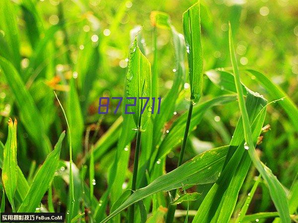 芜湖海亮诸暨学校空气能