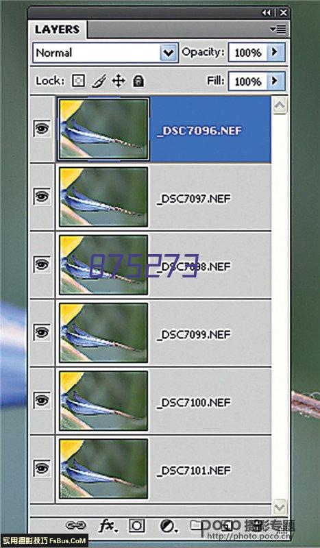 理光A4黑白打印机P501