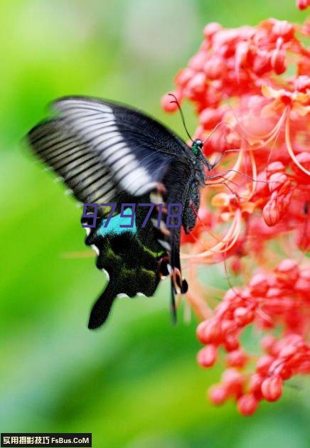 贵阳生物燃料生产